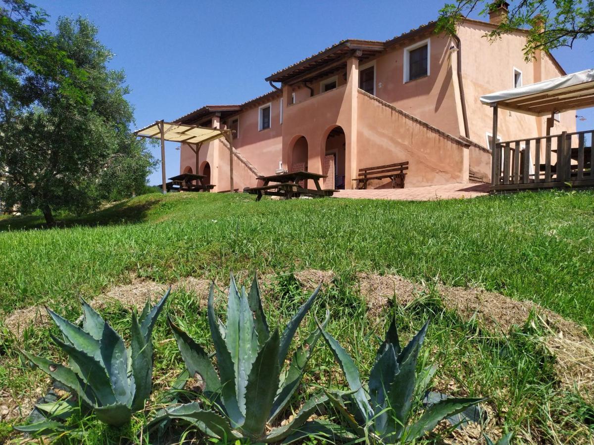 פאלאיה Antonella House -Podere Della Collina מראה חיצוני תמונה