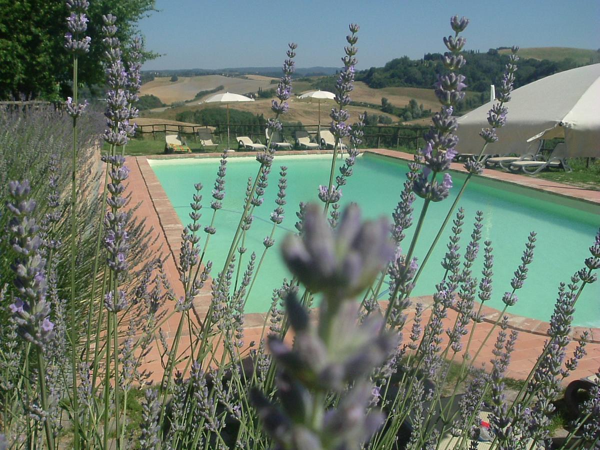 פאלאיה Antonella House -Podere Della Collina מראה חיצוני תמונה